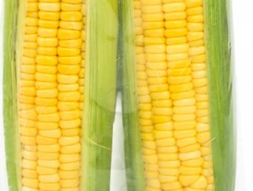 Sweetcorn Vacpac NZ