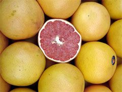 Grapefruit Yellow NZ