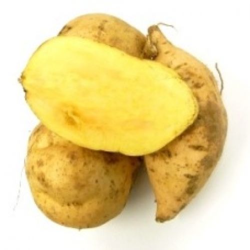 Kumara Gold