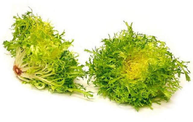 Lettuce Frisse