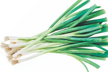 Spring Onion (bunch)