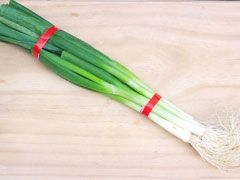 Spring Onion