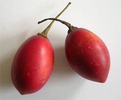 Tamarillos RED