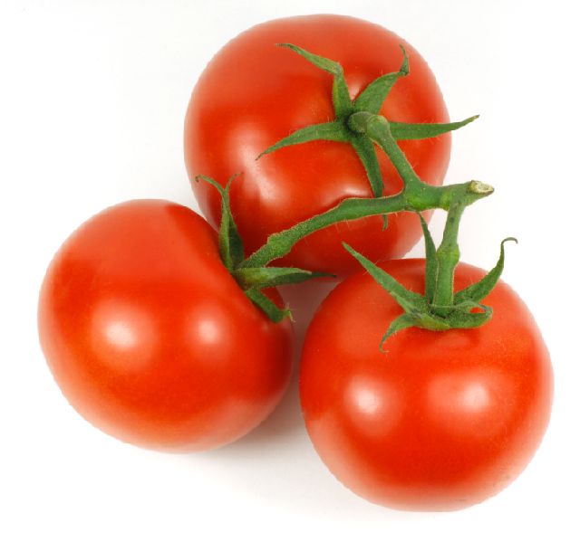 Tomatoes Large Truss ON Vine