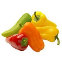 Capsicum Sweet Vine