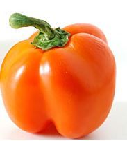 Capsicum Orange NZ