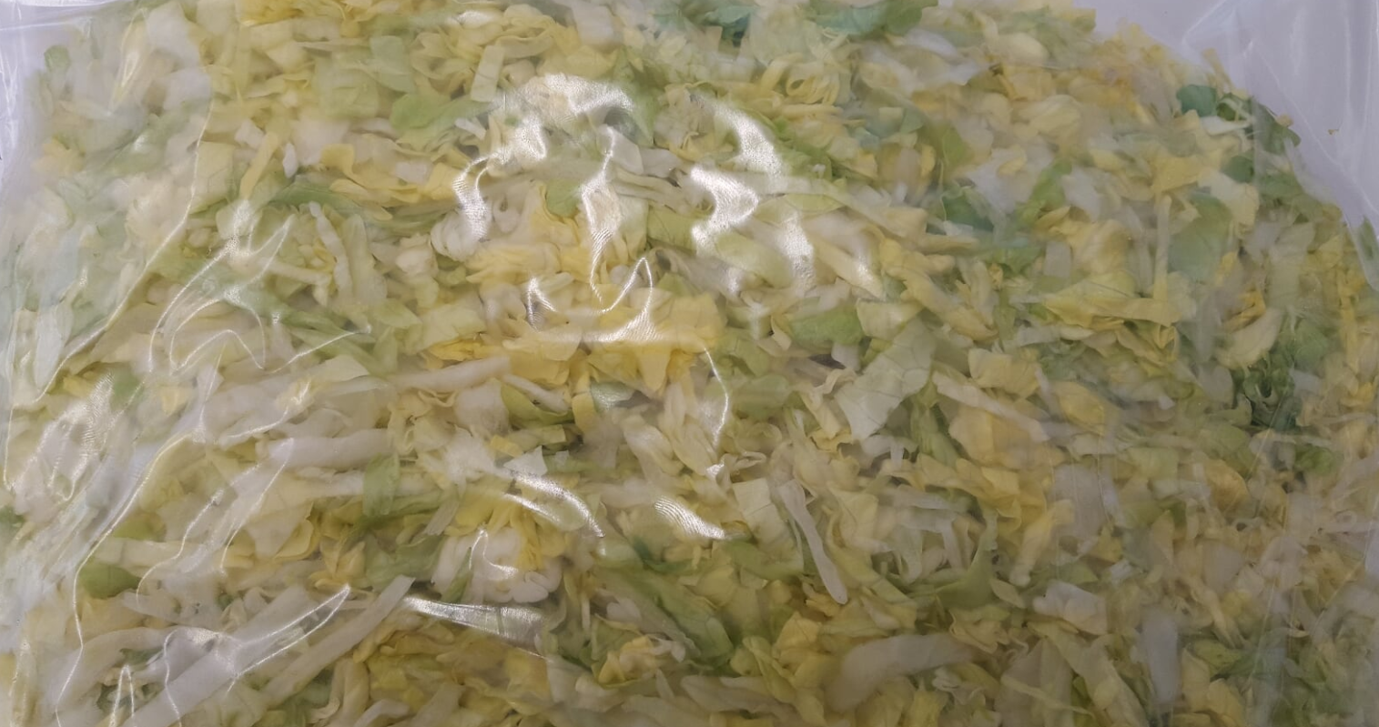 Cabbage Green Shredded