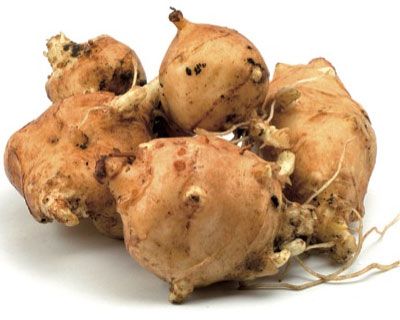 Artichoke Jerusalem