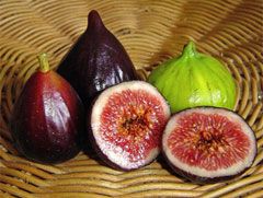 Figs Fresh