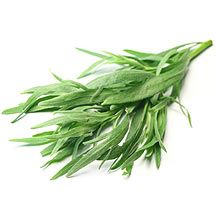 Tarragon 100GM Pack