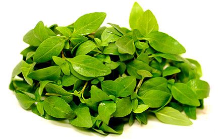 Basil Thai