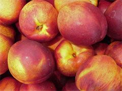 Nectarines NZ