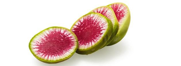 Watermelon Radish MED