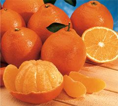 Tangelos  Imported (minneola)