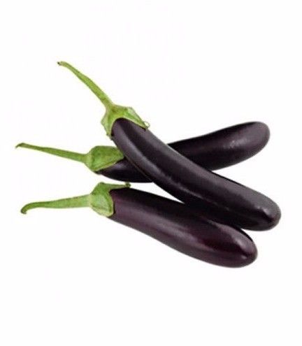 Eggplant Imported Long FJ