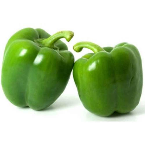 Capsicum Green NZ