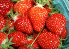 Strawberries Imported 250GM PNT