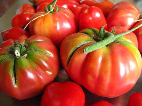 Tomatoes Heirloom Cherry