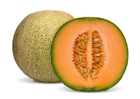 Melon Rockmelon NZ