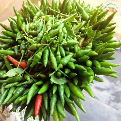 Chillies Green Bird EYE