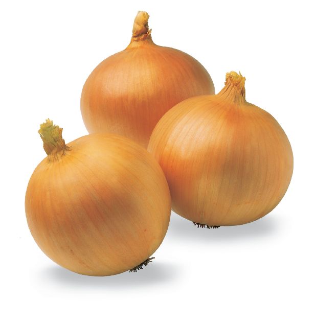 Onions Jumbo 20KG BAG