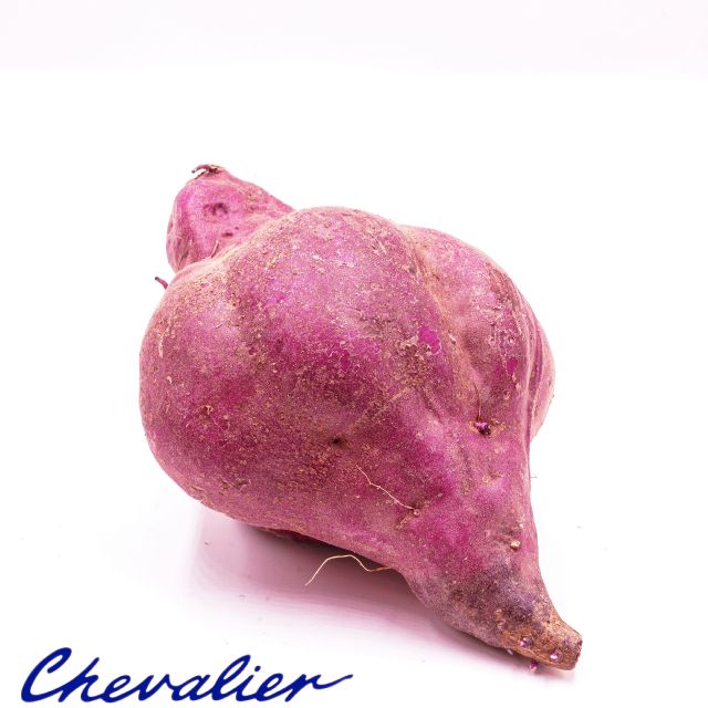 Kumara RED TAG 2