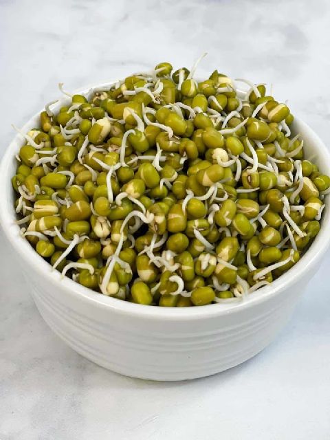 Green Mung Sprout 250GM BAG