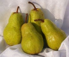 Pears Sugar NZ (green)